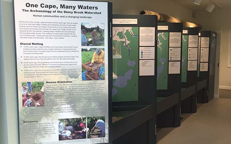 Museum Displays